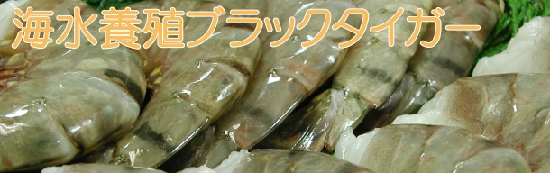 海水養殖ブラックタイガー看板