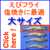 �V�g�̊C�V�i��T�C�Y�j