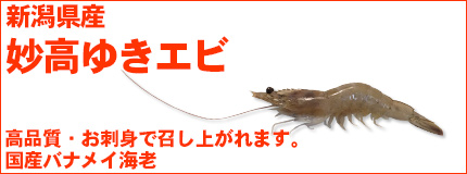�����䂫�G�r